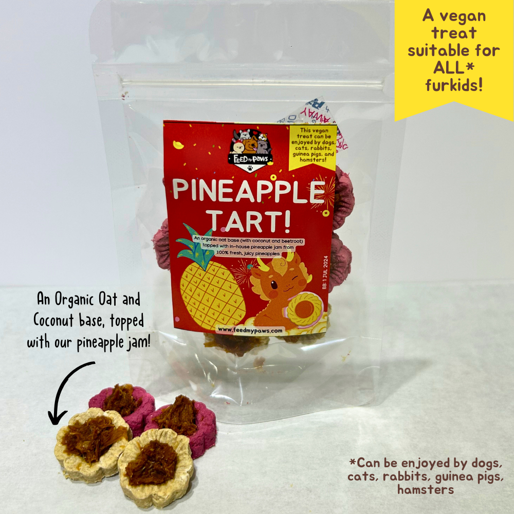 CNY 2024 Mini Pineapple Tarts for Furkids (a VEGAN treat for dogs, ca