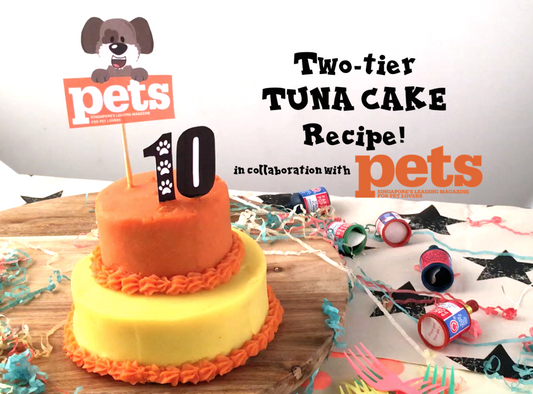 DIY FeedMyPaws Recipe: Tuna Birthday Cake!