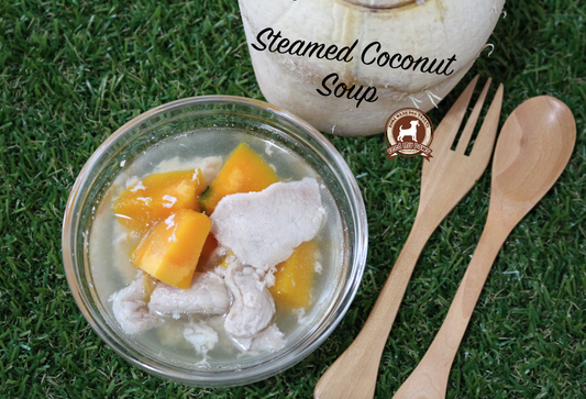 DIY FeedMyPaws Recipe: Coconut Soup for dogs!