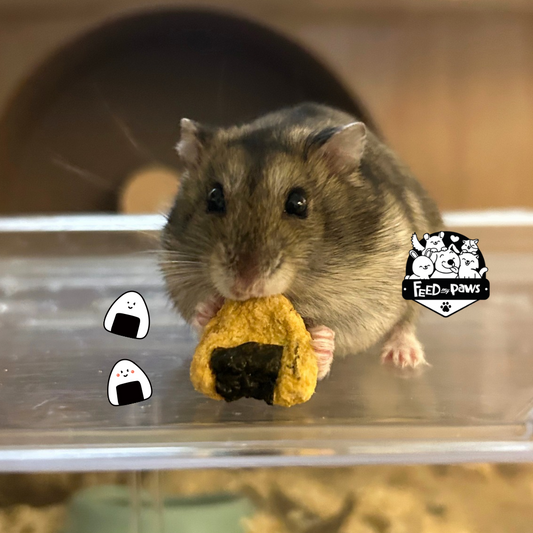 Mini ONIGIRI for Hamsters