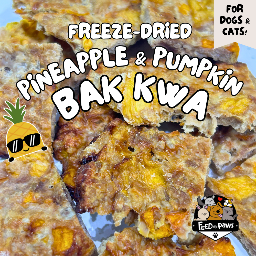 CNY 2025: Freeze-dried Pineapple & Pumpkin Bak Kwa for Dogs & Cats