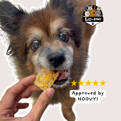 CNY 2025: Freeze-dried Pineapple & Pumpkin Bak Kwa for Dogs & Cats