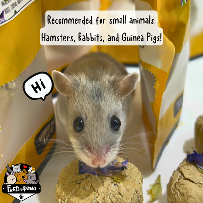 Limited Edition: Chock-full O' Herbs KIDNEY BOOSTER! (for hamsters, rabbits, and guinea pigs)