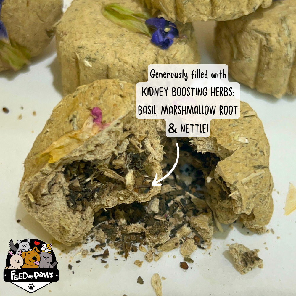 Limited Edition: Chock-full O' Herbs KIDNEY BOOSTER! (for hamsters, rabbits, and guinea pigs)