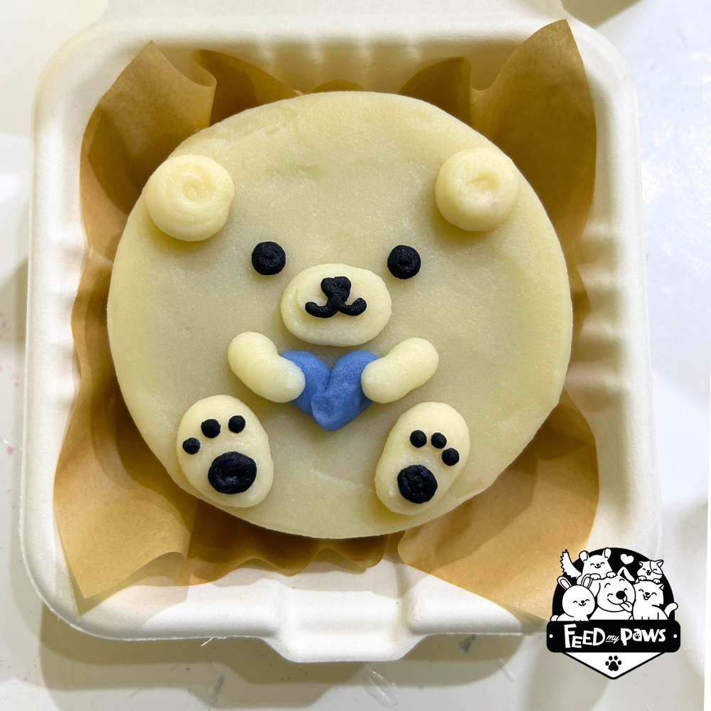 Cute White Bear Mini Bento Birthday Cake for Dogs