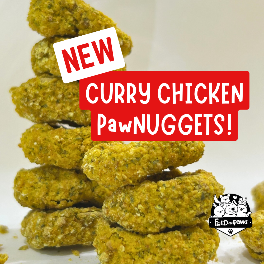 CURRY CHICKEN PawNUGGETS - limited edition treat for dogs