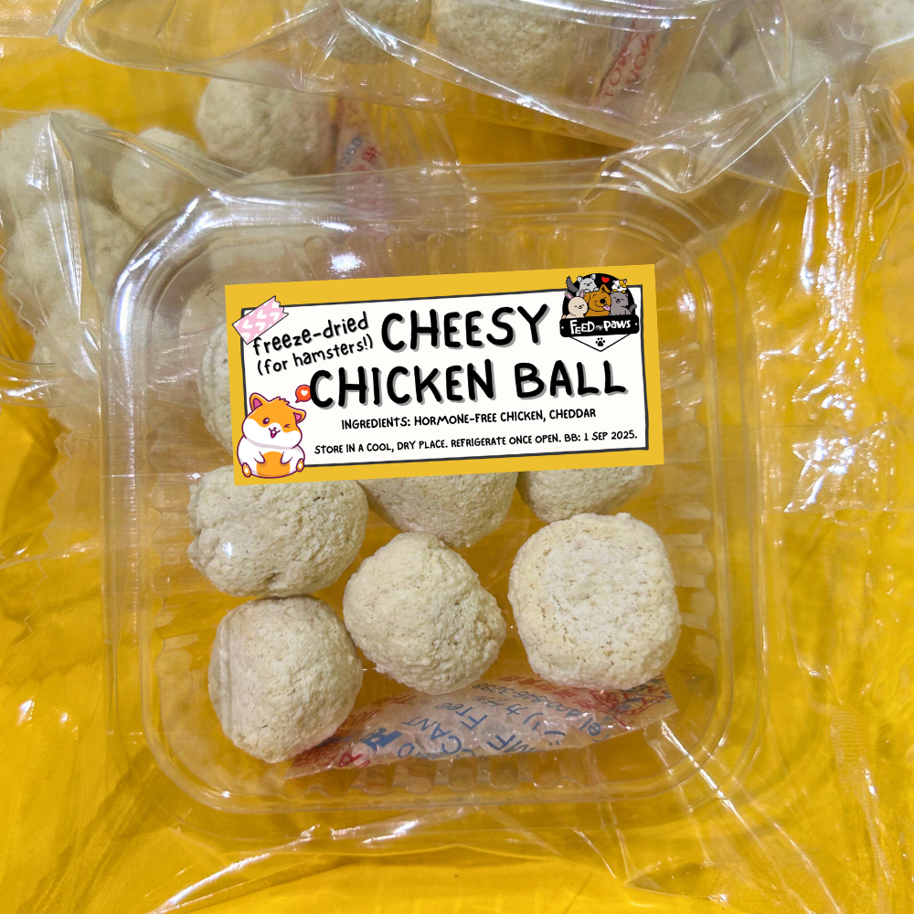 Cheesy Chicken Ball for Hamsters