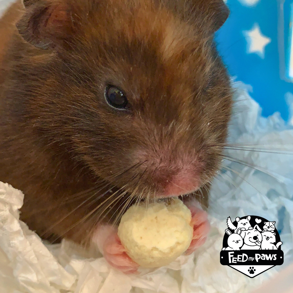 Cheesy Chicken Ball for Hamsters