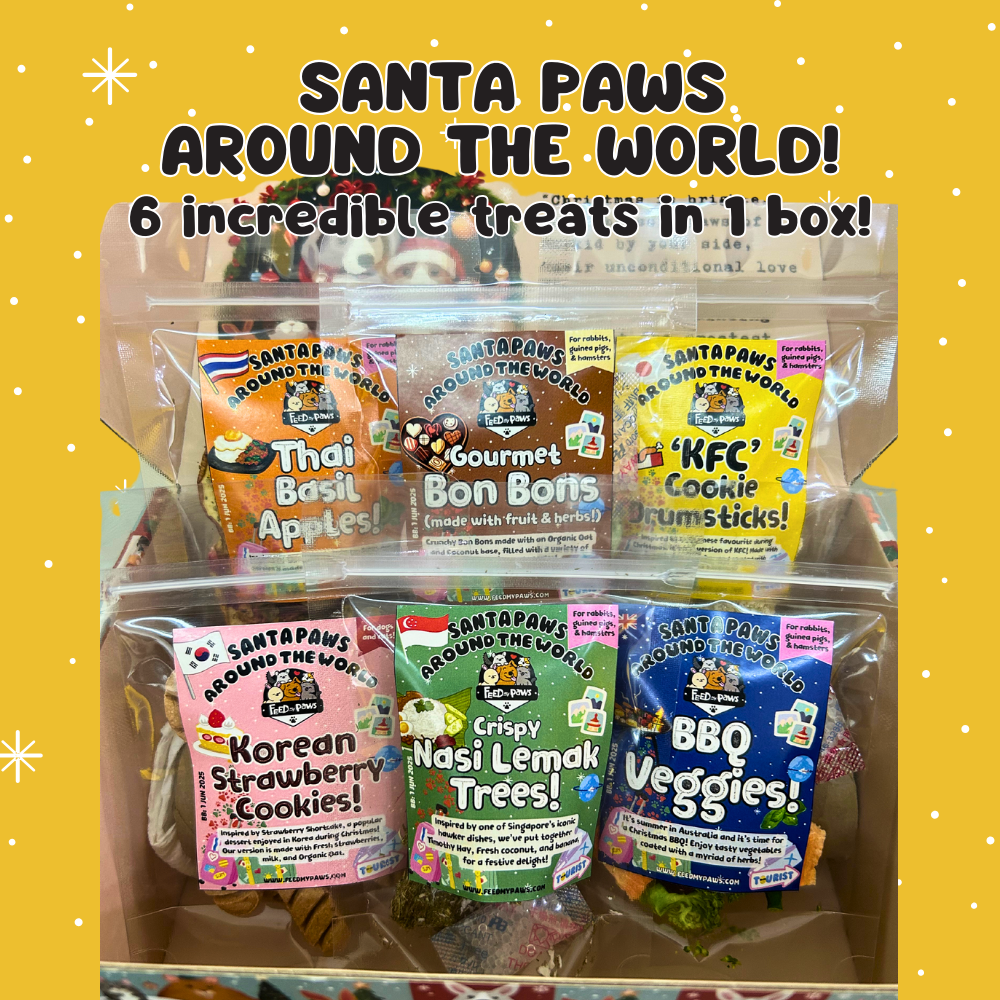 Christmas Box 2024- SANTA PAWS AROUND THE WORLD (for rabbits, guinea pigs, and hamsters)