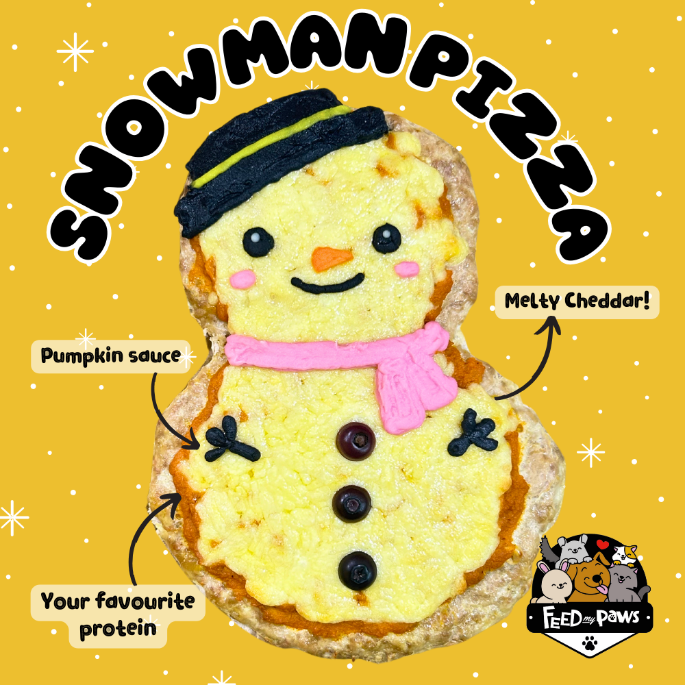 Christmas 2024: Snowman PIZZA (for dogs and cats)