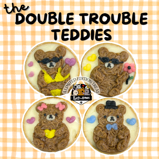 Feb 2025 Special: The Double Trouble Teddies!