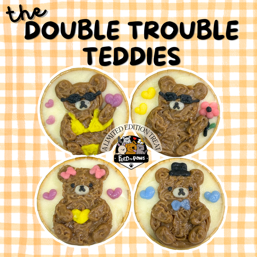 Feb 2025 Special: The Double Trouble Teddies!