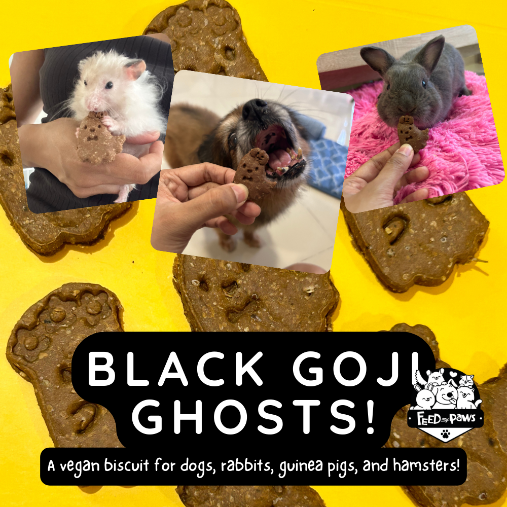 Halloween 2024: Black Goji Ghosts Biscuits for Dogs, Rabbits, Guinea Pigs, and Hamsters!