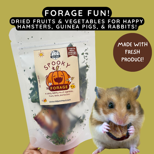 Halloween 2024: Spooky Forage for Hamsters, Rabbits, and Guinea Pigs!