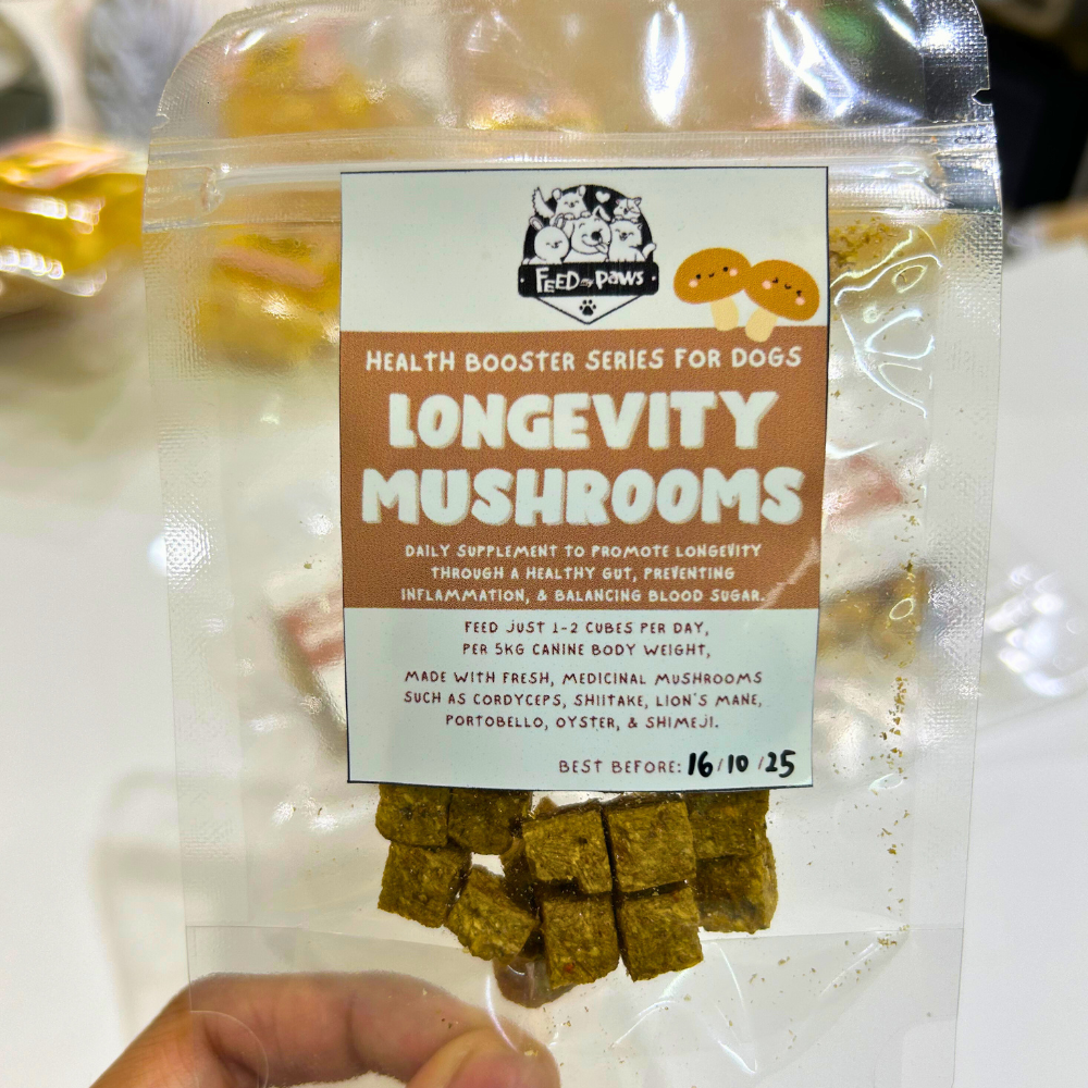 Health Booster: Longevity Mushrooms for Dogs