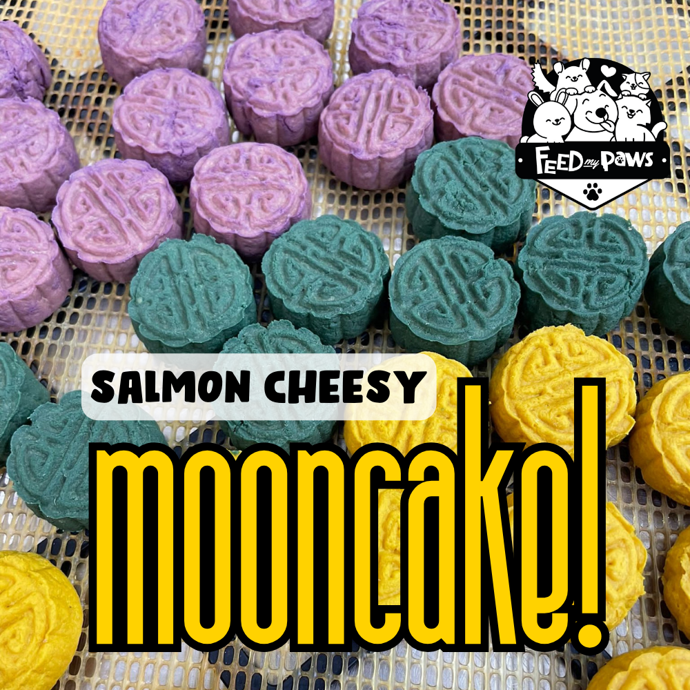 Salmon & Cheese Easy-to-chew Mooncake 2024 (dry treat for dogs & cats)