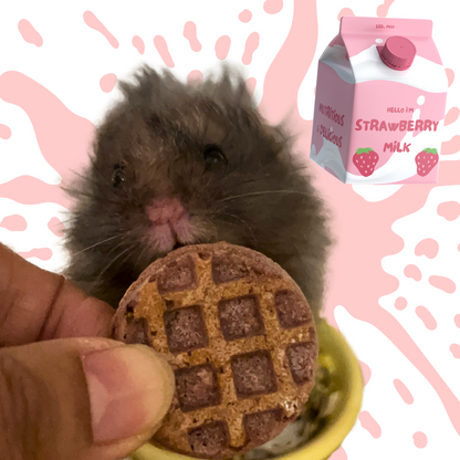 Strawberry & Milk Waffles for Hamsters