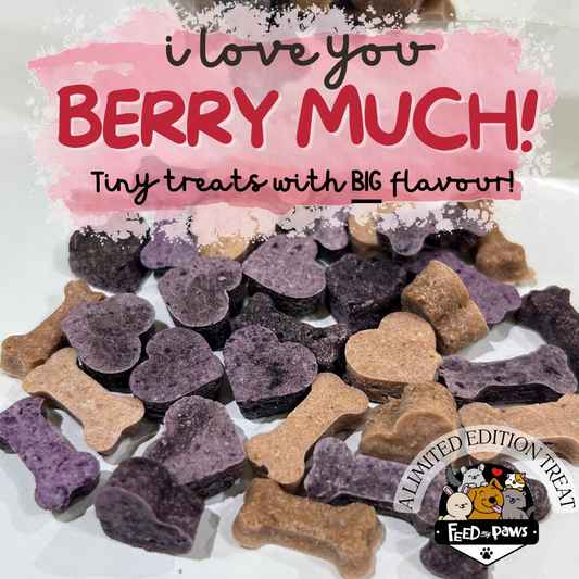 Feb 2025: I Love You BERRY MUCH [vegan treat for dogs, cats, rabbits, guinea pigs, and hamsters]