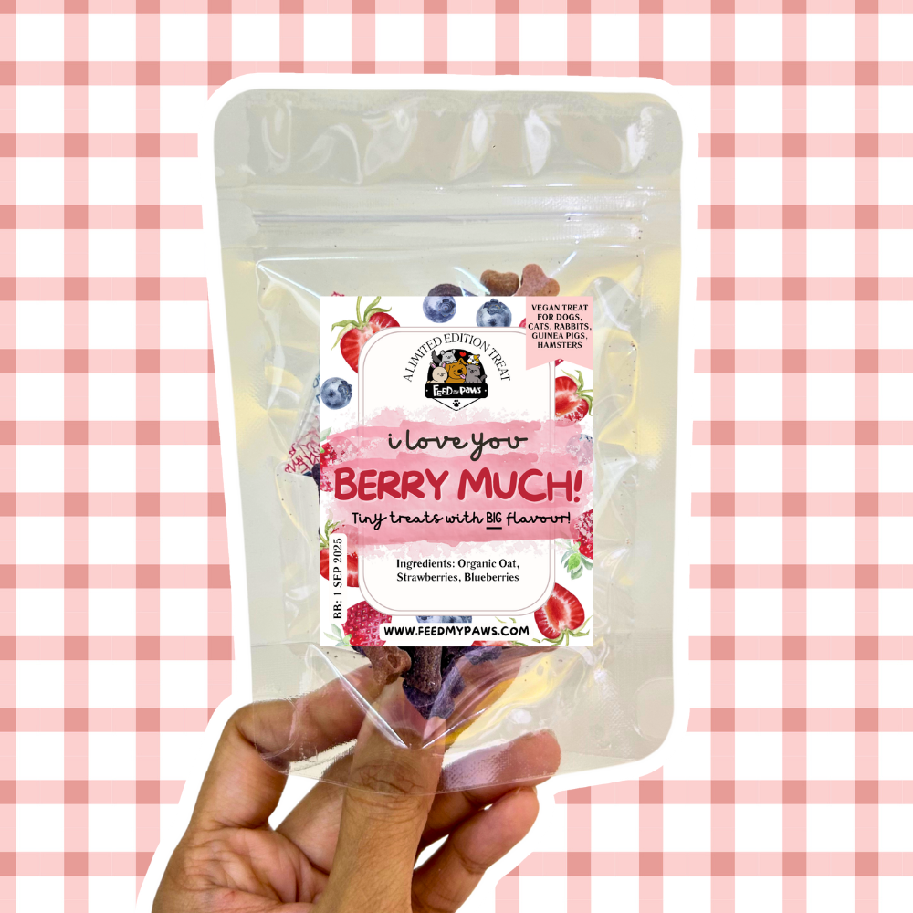 Feb 2025: I Love You BERRY MUCH [vegan treat for dogs, cats, rabbits, guinea pigs, and hamsters]