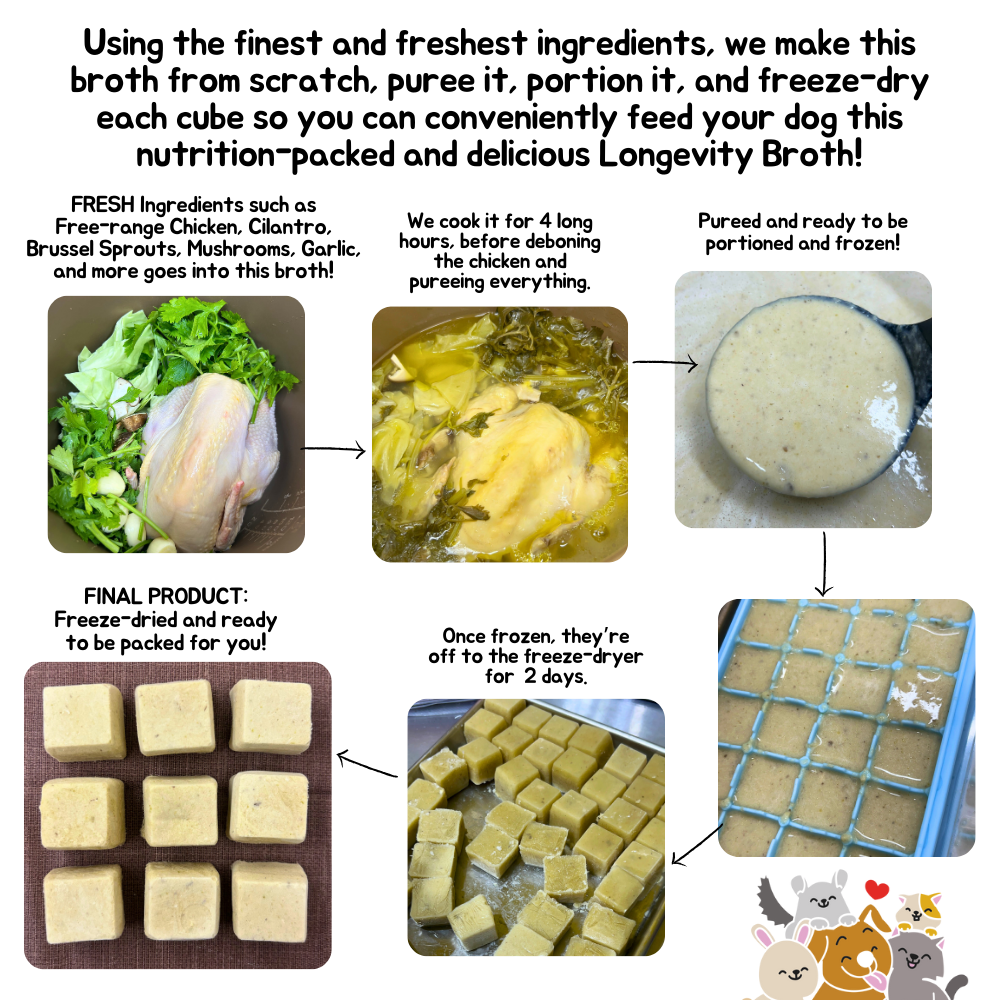 LONGEVITY BROTH Freeze-dried cubes (for DOGS) now in PORK or CHICKEN!