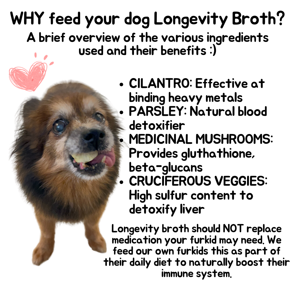 LONGEVITY BROTH Freeze-dried cubes (for DOGS) now in PORK or CHICKEN!