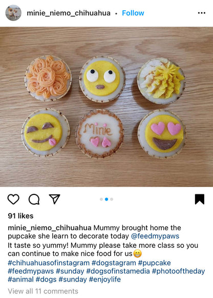 Basic Pupcake Workshop (90 minute course - July 2024 sessions)