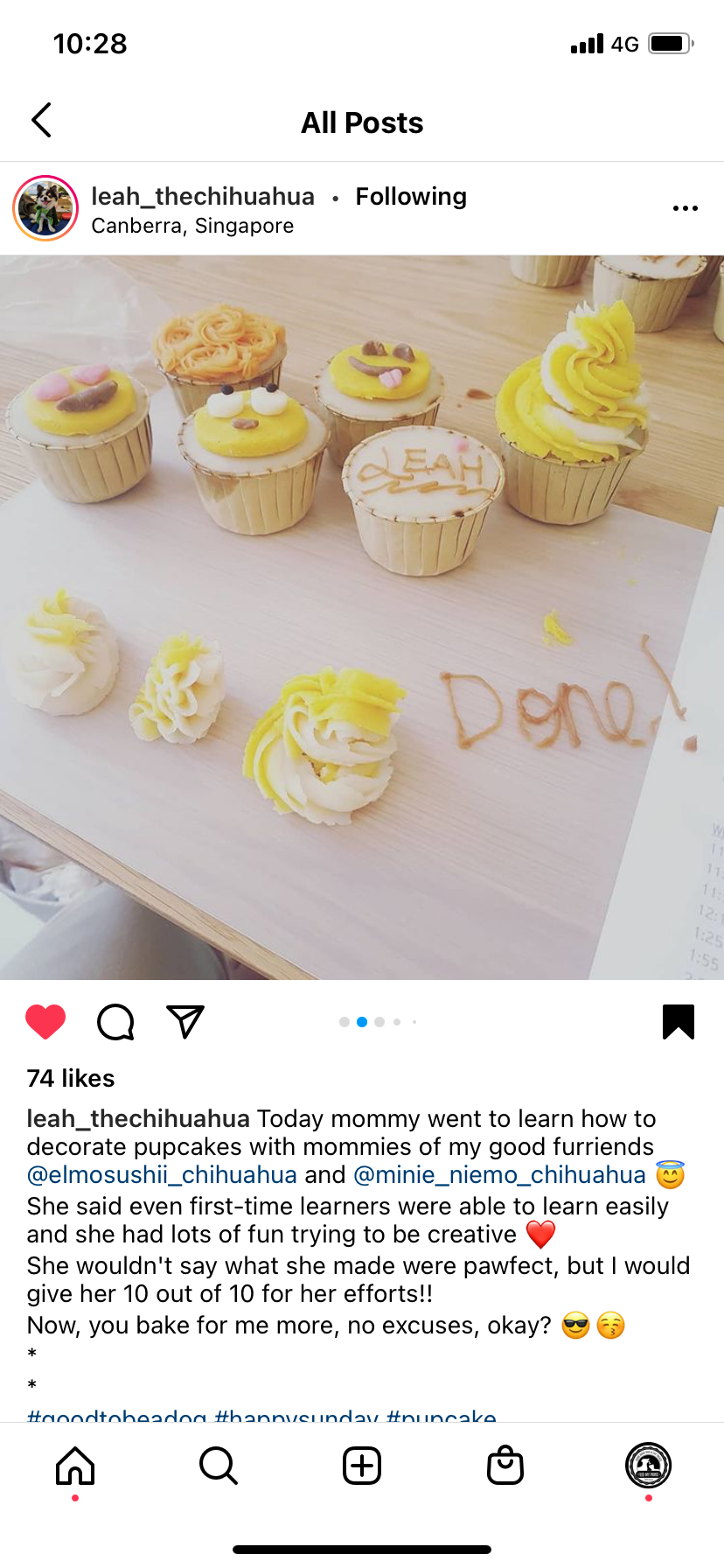 Basic Pupcake Workshop (90 minute course - July 2024 sessions)