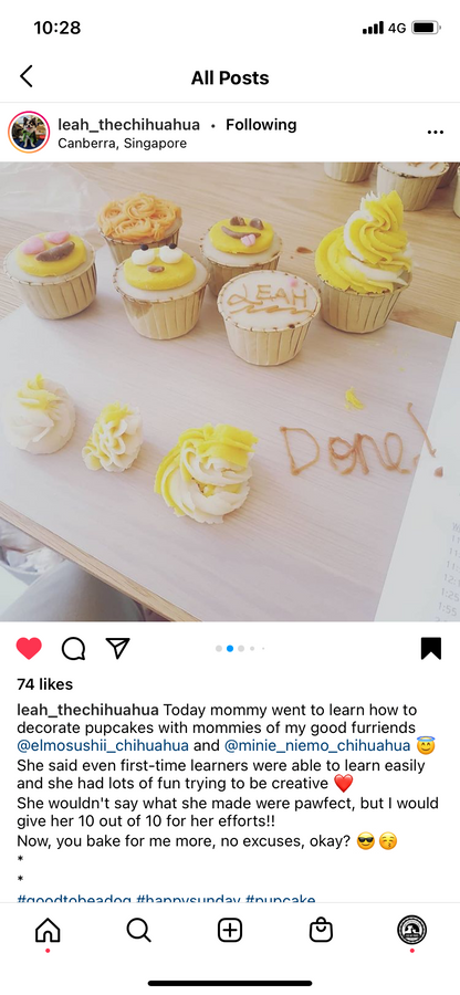 Basic Pupcake Workshop (90 minute course - July 2024 sessions)