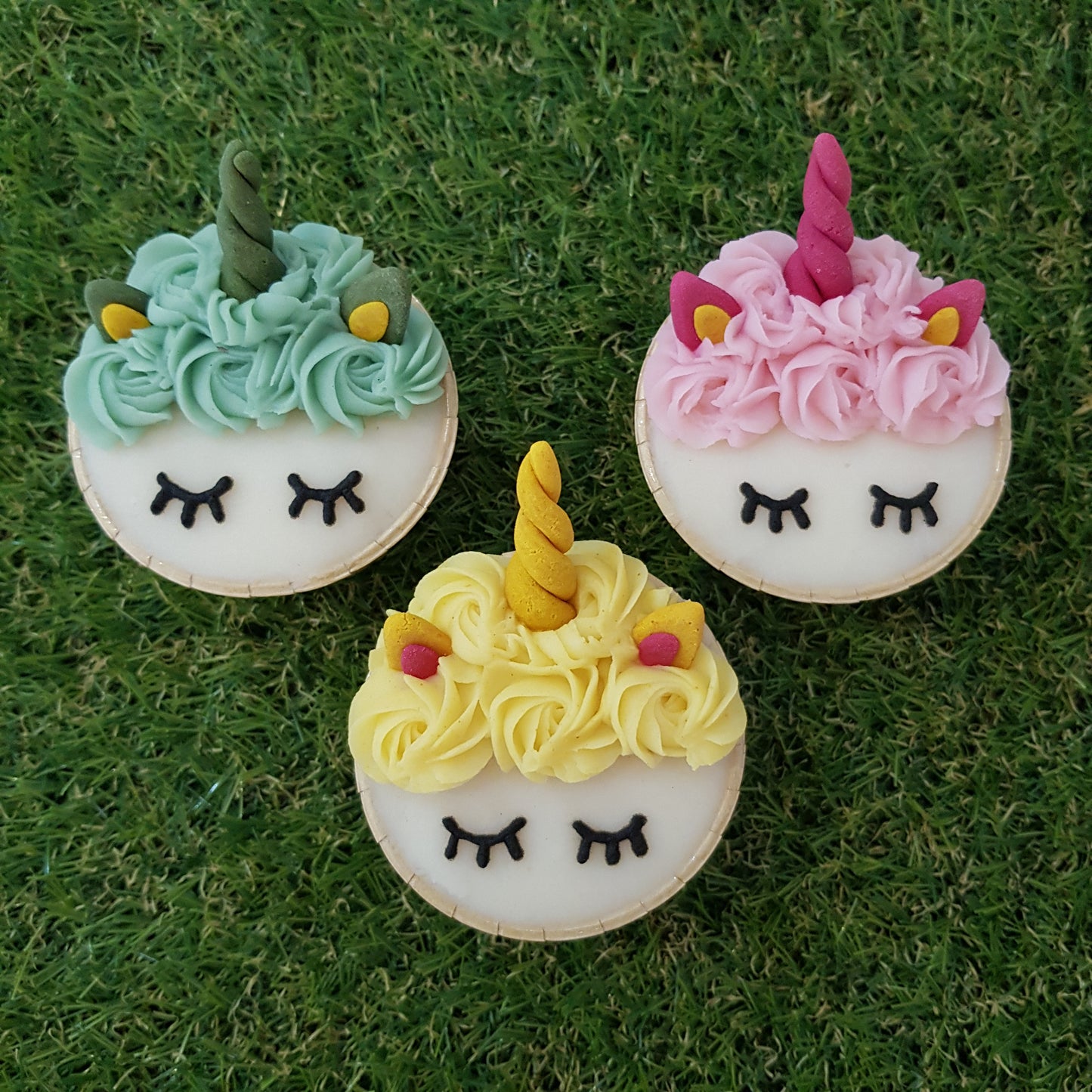 Feed My Paws SG | Dog Bakery Singapore | Handmade Birthday Cupcake Pupcake for Dog Puppy | Delivery