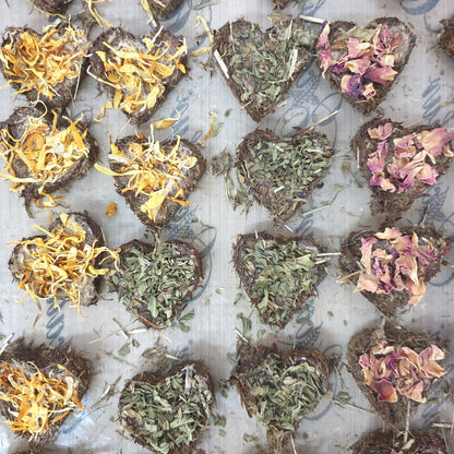 a tray of freshly made herb hearts treats in four colours - made for hamsters guineapigs and hamsters in singapore