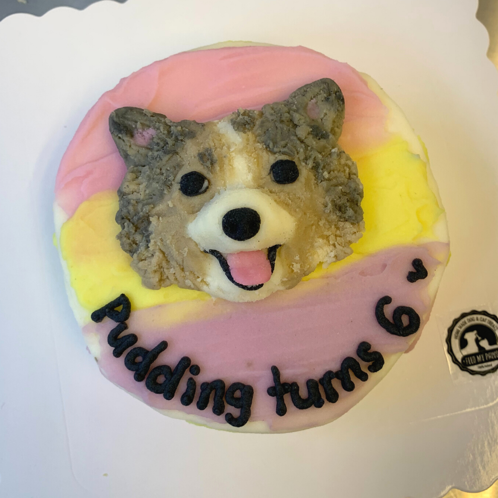 Dog Birthday Cake with Custom Face