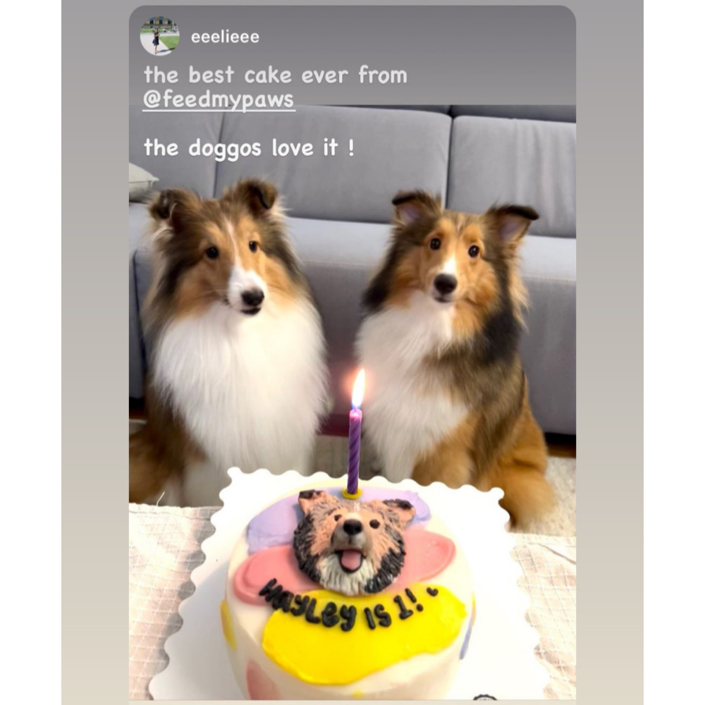 Dog Birthday Cake with Custom Face