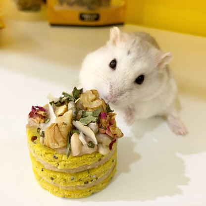 Mini Hamster Birthday Cake