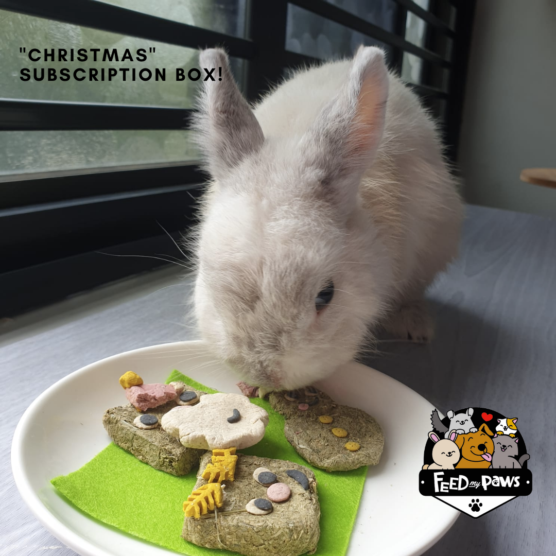 Feed My Paws Subscription Club: Subscription Box for Rabbits & Guinea Pigs! (Bi-monthly)