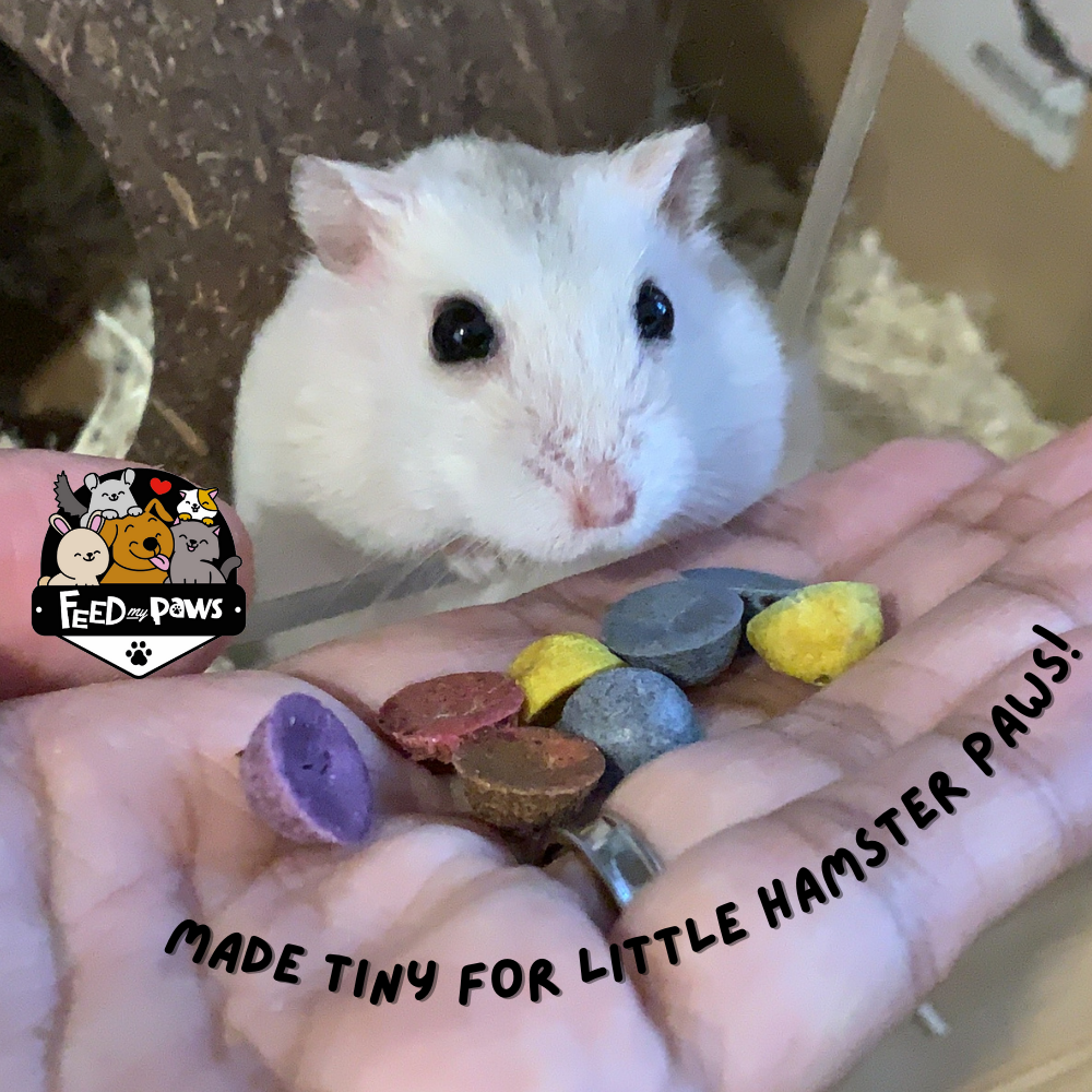 Ham & M's! ("M&M's" inspired snack for hamsters)