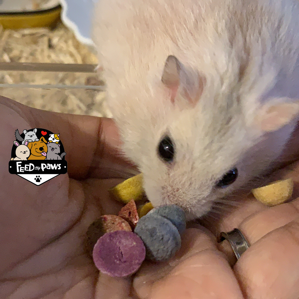 Ham & M's! ("M&M's" inspired snack for hamsters)